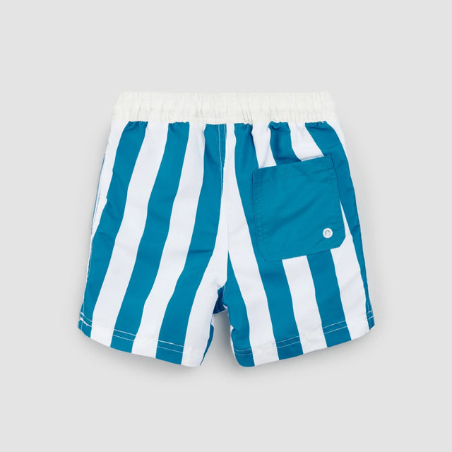 Miles the label Striped Bluejay & White Swim Trunks