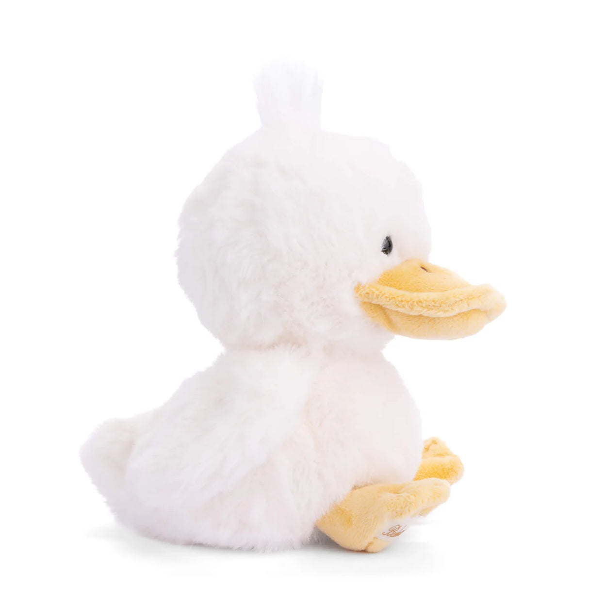 Bukowski - Baby Quack