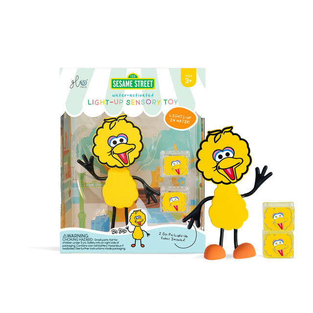 Glo Pals Light-Up Sensory Toy Big Bird