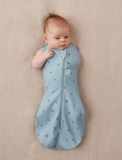 CCocoon Swaddle Sack 1.0 TOG -  Dragonflies