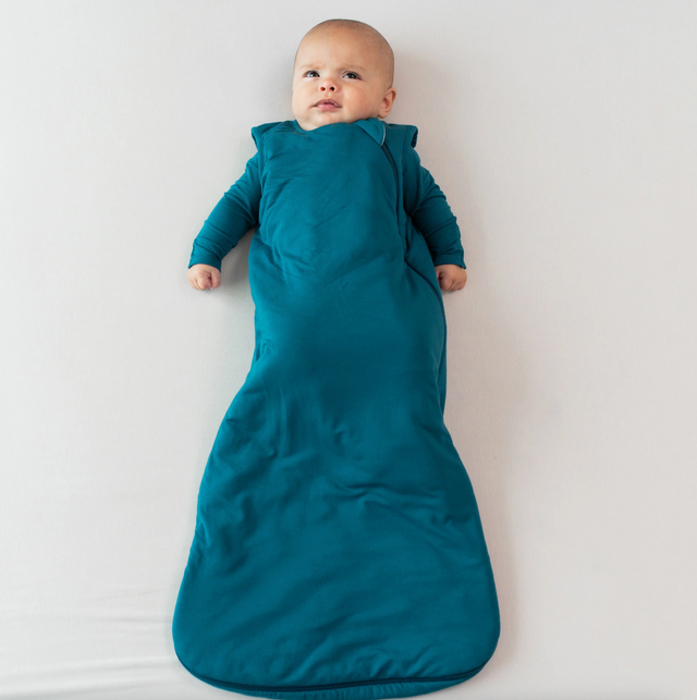 Kyte Baby Sleep Bag in Loch 2.5