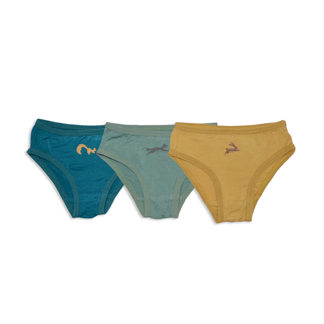 Silkberry Bikini Underwear (Deep Ocean/Fall Leaf/West Coast)