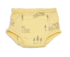 Silkberry Bamboo Training Pants