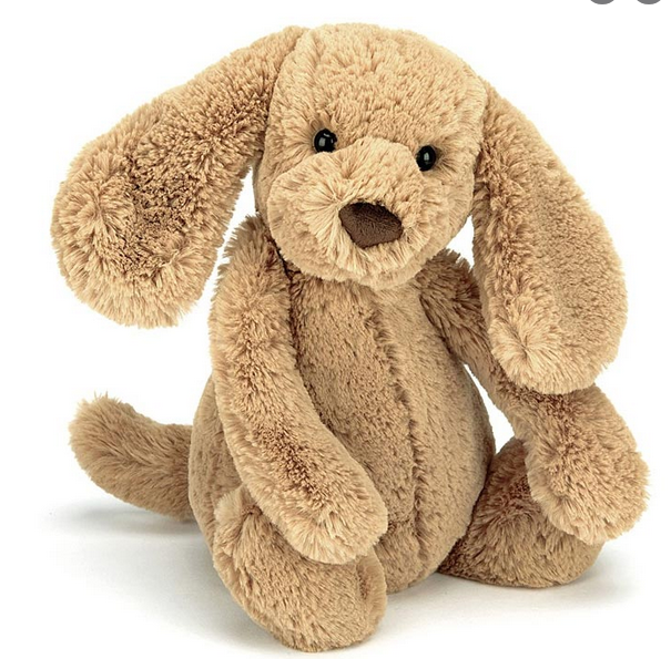 Jellycat Little Bashful Toffee Puppy