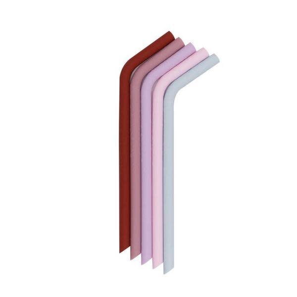 WMBT Bendie Straw (Earth & Bloom 5pk)