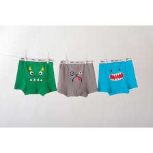 Zoocchini Boxer